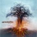 AMORPHIS