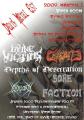 koncert20090307