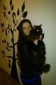 Cat caf :)