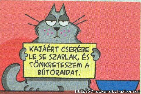 ..na EZRT rhellem a macskkat..