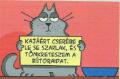 ..na EZRT rhellem a macskkat..