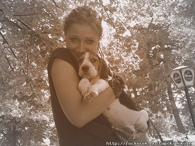 Kicsi alkesz bbi beagle :)