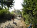 DSC03596