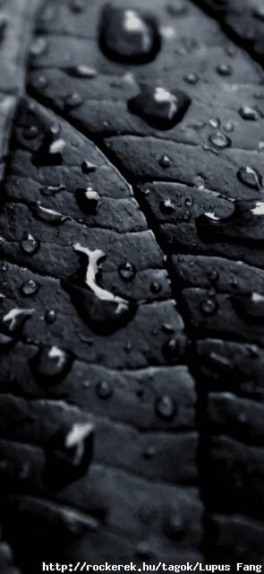 Dark-Wallpaper