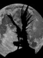 Ryuk