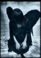 Dark Angel