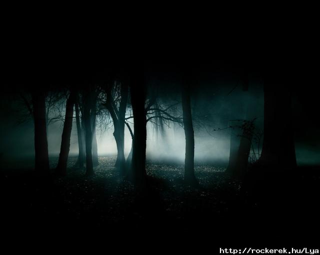 Dark-Forest