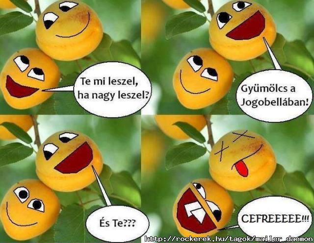 jogobella reklm feljtott vltozat XD