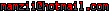 msn
