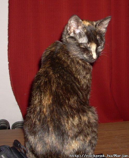 Kiki