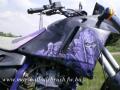 pegaso4