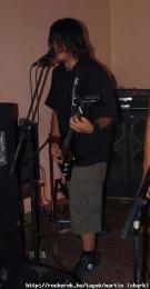 martin (shark)