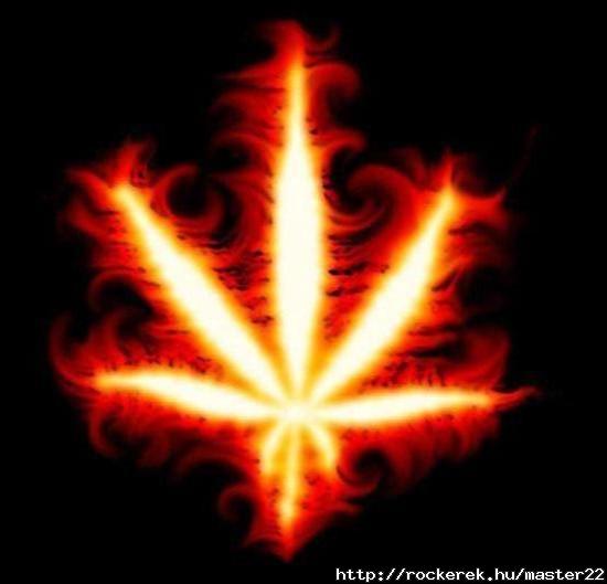 Marihuana