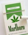 medical-marihuana