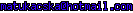 msn