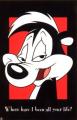 Looney-Tunes---Pepe--C10006250
