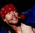 Axl_rose[1]