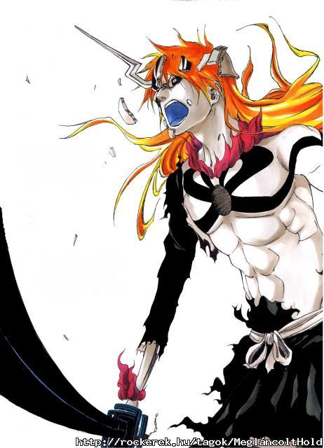 Ichigo-kurosaki-ichigo-20094974-1654-2290