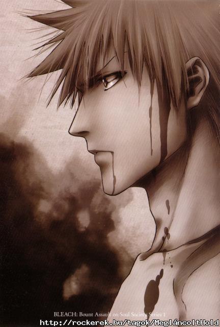 Ichigo-kurosaki-ichigo-20094984-1433-2121