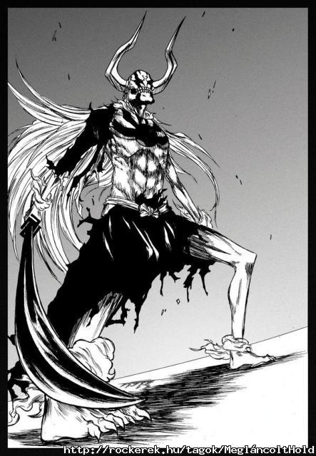 Hollow-Ichigo-hollow-ichigo-20095036-600-865