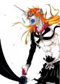 Ichigo-kurosaki-ichigo-20094974-1654-2290