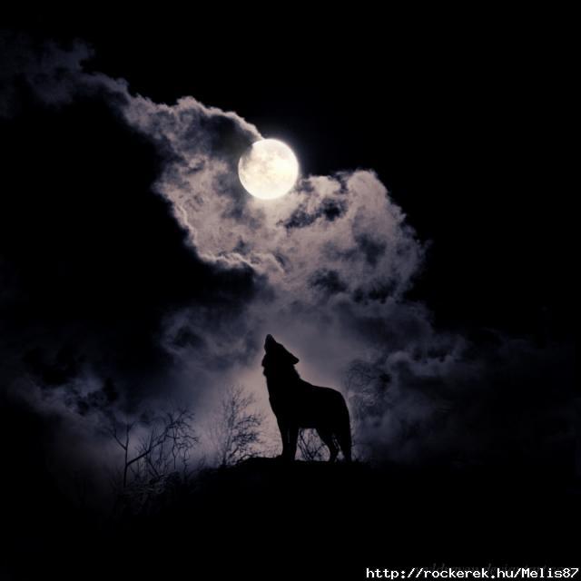 5f42a1ec691b2c95c335e3c251c39ce3-d4bea0x