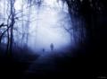 darkforest