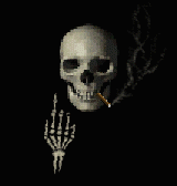 koponya2