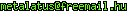 msn