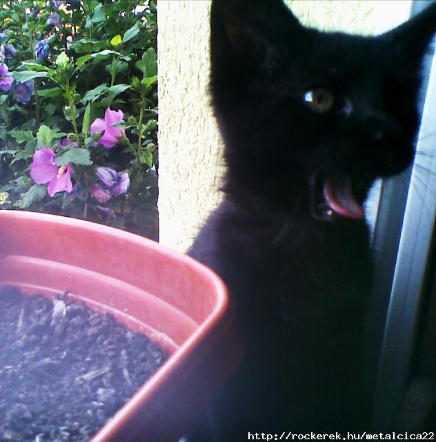 Dmooon^^