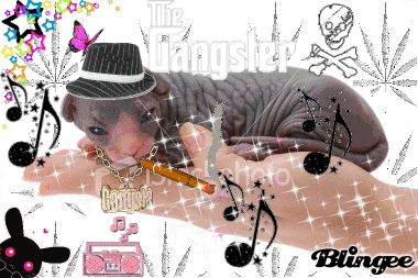 The Gangster