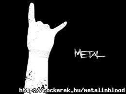 metalinblood