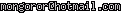 msn