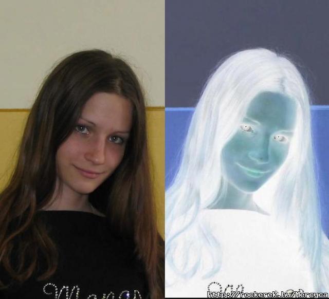 Mind kt nem xd