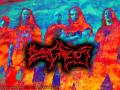 Dying Fetus
