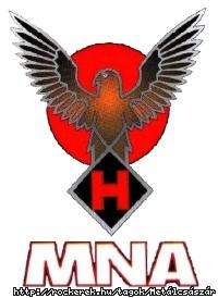 MNA