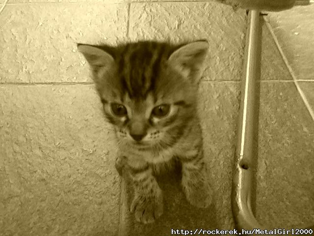 hall cuki...itt mg kissebb mit a tenyerem...