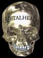 Metal-Head