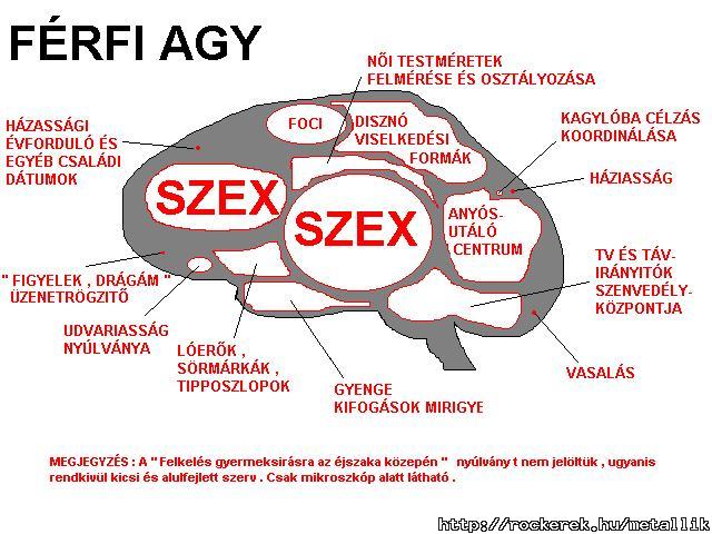 agy