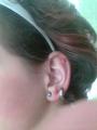 gurt kockm (L) Metaxtl kaptam :)