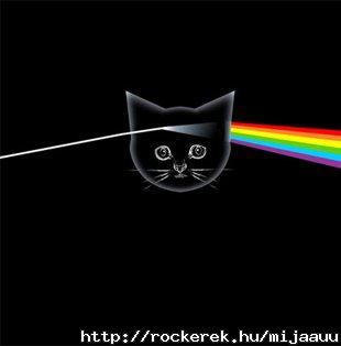catfloyd . maccs s zene <3 