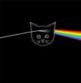 catfloyd . maccs s zene 