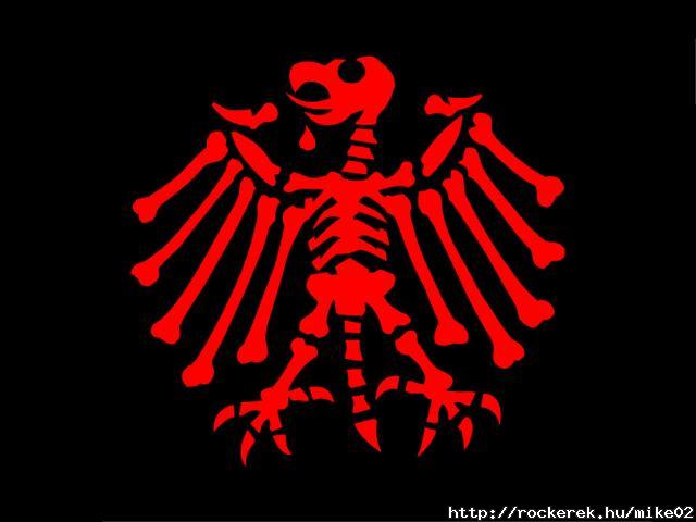 Die_Toten_Hosen_18
