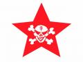 Die_Toten_Hosen_17