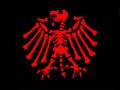 Die_Toten_Hosen_18