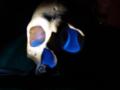 DSC01806