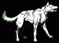 akela