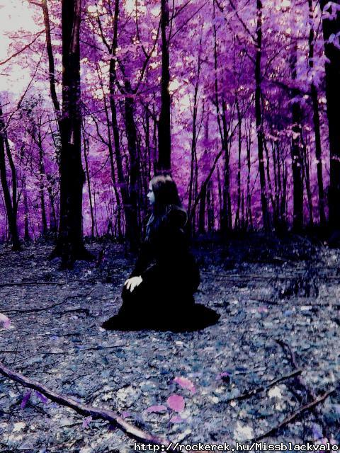 ~Forest~