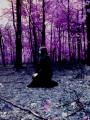 ~Forest~