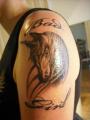 az ujabb tattom